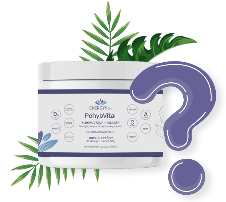 QA pohybvital-1